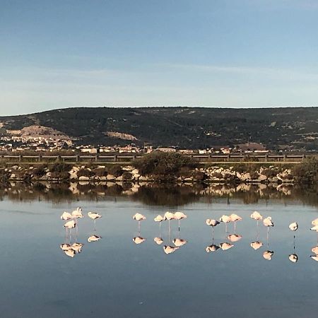 Flamants Roses 1 Pers 6 Frontignan Bagian luar foto